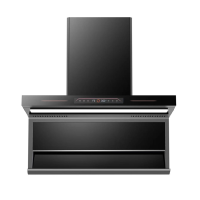 皇冠雷行烟机CXW-268-A619B