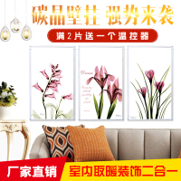 碳晶取暖器 碳晶墙暖 家用壁挂式节能省电 防水速热型电暖器