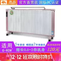碳纤维电暖气家用节能省电速热取暖器家用节能婴儿孕妇壁挂电暖气