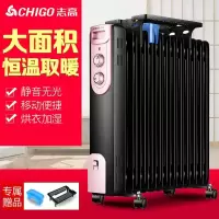 油汀取暖器家用节能省电暖器速热电暖气暖风机烤火炉电热油丁