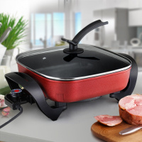 东菱电器(DOOLAN)多功能电热锅(送蒸屉) 家用电炒锅不粘锅 电火锅 宿舍学生电锅