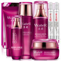 [墨菊套装温碧霞代言]一枝春墨菊巨7件套装大礼盒补水精华液