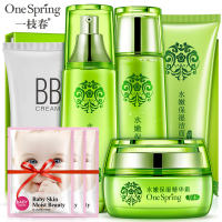 [送3片面膜]一枝春天然植物本补水保湿5件套护肤化妆品套装