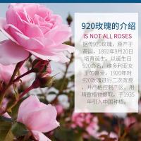 化妆品套装补保湿控油爽肤乳液霜洗面奶女护肤品正品