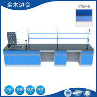 全木实验边台化验台实验室实验台工作台实验桌试验台中央台试剂柜