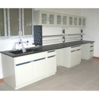钢木实验台全钢作台药品柜天平台工作台洗眼器厂家直销水水龙