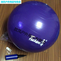 瑜伽球加厚防爆初学者健身球套装儿童孕妇分娩助产球