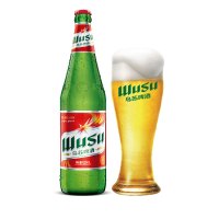乌苏啤酒 新疆夺命大乌苏红乌苏620mlx18瓶装 大乌苏箱装新疆特产 网红啤酒 红乌苏啤酒