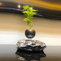 磁悬浮盆栽地球仪办公室微景观桌面装饰家居创意摆件摆设礼品