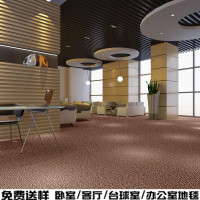 办公室地毯商用满铺写字楼台球舞蹈房宾馆会议室展会工程客厅家用