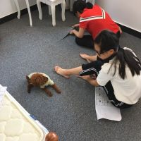 办公室地毯卧室满铺房间家用客厅商用写字楼拼接方块泥地面地毯