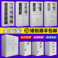 办公室文件柜铁皮柜资料柜档案柜矮柜阳台储物柜带锁小柜子工具柜