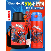 迪士尼儿童保温杯带吸管幼儿园宝宝316不锈钢壶小学生两用防摔