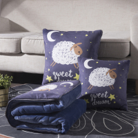 纯棉抱枕被子两用全棉加厚办公室汽车用靠垫靠枕头夏凉被可爱大号