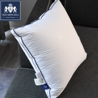 美国品牌五星级酒店鹅绒羽绒抱枕方枕芯头靠垫沙靠枕大抱枕靠背