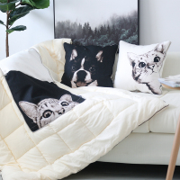ins猫咪狗抱枕被子两用加厚汽车多功能靠枕被冬季可爱卡通空被