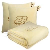 汽车抱枕车用靠枕车载腰靠车内抱枕被子两用车内空被珊瑚绒一对