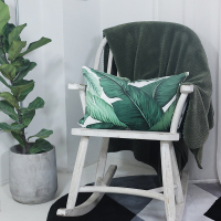 我家有个植物园冰丝平绒沙搭配靠垫抱枕双面印花森林系清新大叶