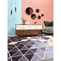 北欧客厅地毯金属流行风现代简约床边毯地垫茶几垫卧室床尾毯防滑