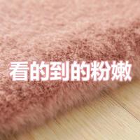 荣佳地毯卧室纯色床边现代简约客厅茶几北欧宜家加厚房间长方形绒