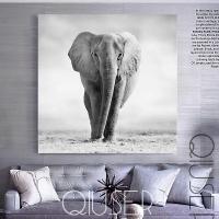 北欧黑白大象 现代欧美动物摄影沙背景电表箱diy客厅装饰画挂画