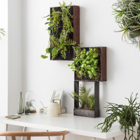 ins北欧风仿真植物壁挂墙面装饰热带绿植相框微缩景观创意挂件