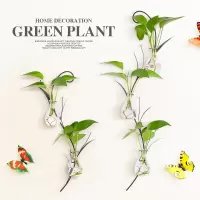 创意悬挂培绿萝花瓶壁挂壁饰挂式墙面装饰玻璃花瓶培容器饰品