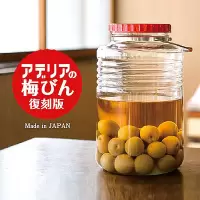 日本进口ADERIA复刻版玻璃瓶酿酒泡酒瓶青梅酒果酵素瓶密封罐