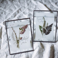 欧洲纪念照框复古相框vintage植物标本框透明玻璃照片架婚礼装饰