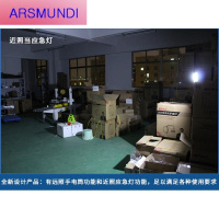 ARSMUNDI (隆宇)停电应急灯家用充电灯泡 夜市摆地摊照明超亮蓄电池LED节能户外灯 7677(900毫安两用款带