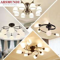 家装优选北欧客厅吸顶灯创意现代简约吊灯书房间卧室美式餐厅黑色网红灯具时尚简约