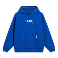 李宁童装卫衣男女小大童2023新款春季休闲套头长袖连帽上衣运动服