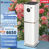 格力(GREE)空气净化器KXJFA300-A02空气消毒机家用医用级办公室除细菌猎手系列 四大模式减少空气污染智能提醒