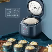 苏泊尔(SUPOR)迷你陶晶电饭煲 1-2-3人2L小容量家用宿舍单人饭锅 小型 SF20FC45