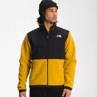 The North Face 北面Denali 2 Jacket 男士秋冬防风保暖轻便抓绒夹克