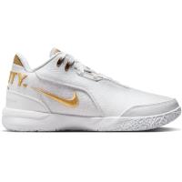 耐克(NIKE)NikeZoomLeBronNXXTGenAMPDEquity男款板鞋透气舒适休