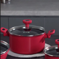 拓杰(飞科)炊大皇20CM卓味汤锅 KA80035(1件/5个)