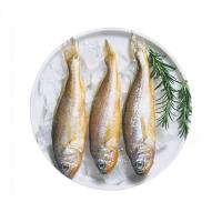 庆源丰野生鲜冻小黄鱼350克