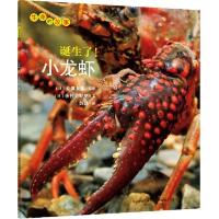 生命的故事:诞生了!小龙虾全10册