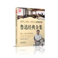 新家庭书架:鲁迅经典全集