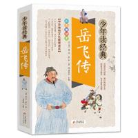 少年读经典 岳飞传