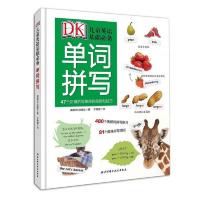 儿童英语基础必备单词拼写