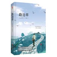 长篇小说:路边草(儿童文学)