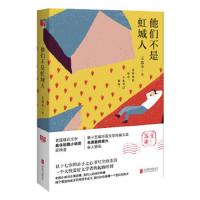 他们不是虹城人(王苏辛继《白夜照相馆》*之后全新力作!)