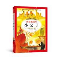 世界儿童文学精选(拼音美绘本):小公子