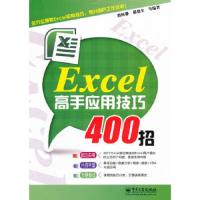 Excel高手应用技巧400招