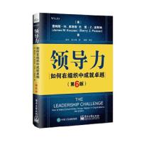 领导力如何在组织中成就卓越(第6版)