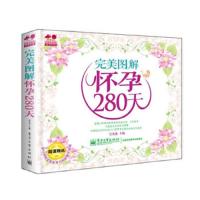 完美图解怀孕280天