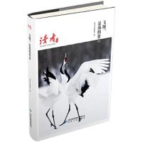 读者丛书:飞翔,是我的姿态
