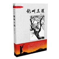 烽火少年:他叫王璞